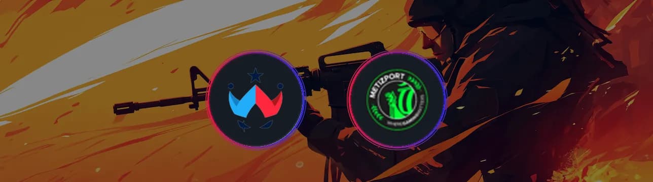Wildcard VS Metizport